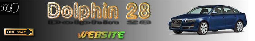 dolphin28